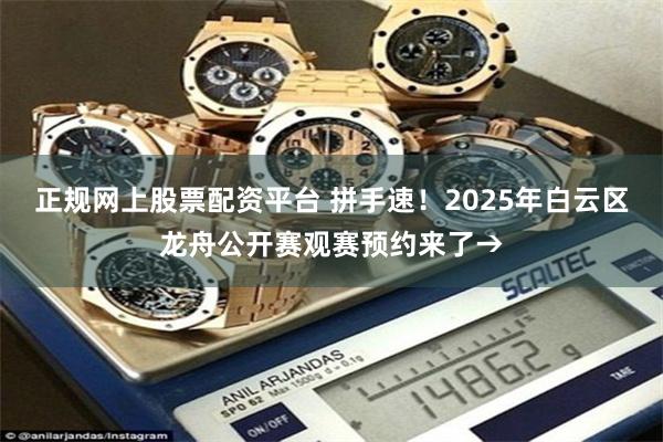 正规网上股票配资平台 拼手速！2025年白云区龙舟公开赛观赛预约来了→