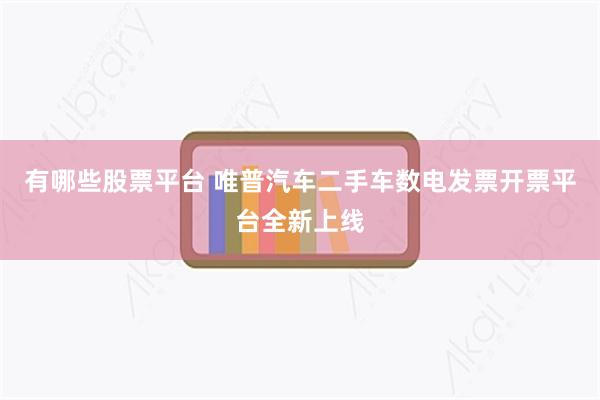 有哪些股票平台 唯普汽车二手车数电发票开票平台全新上线