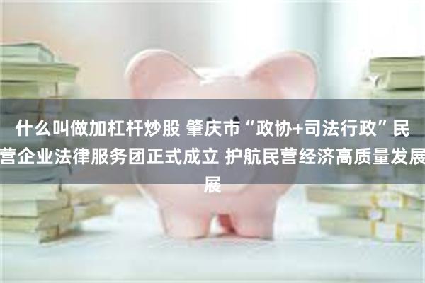 什么叫做加杠杆炒股 肇庆市“政协+司法行政”民营企业法律服务团正式成立 护航民营经济高质量发展