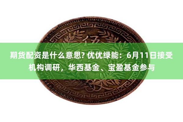 期货配资是什么意思? 优优绿能：6月11日接受机构调研，华西基金、宝盈基金参与