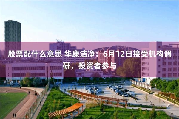 股票配什么意思 华康洁净：6月12日接受机构调研，投资者参与