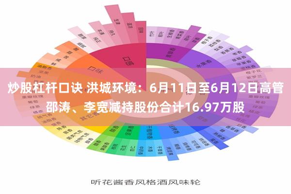 炒股杠杆口诀 洪城环境：6月11日至6月12日高管邵涛、李宽减持股份合计16.97万股