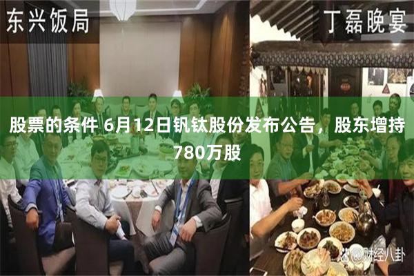 股票的条件 6月12日钒钛股份发布公告，股东增持780万股