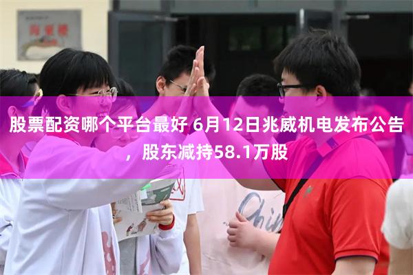 股票配资哪个平台最好 6月12日兆威机电发布公告，股东减持58.1万股