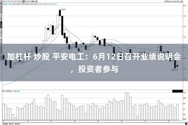 加杠杆 炒股 平安电工：6月12日召开业绩说明会，投资者参与