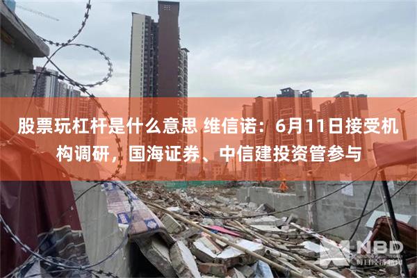 股票玩杠杆是什么意思 维信诺：6月11日接受机构调研，国海证券、中信建投资管参与