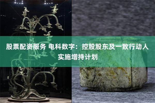 股票配资服务 电科数字:控股股东及一致行动人实施增持计划