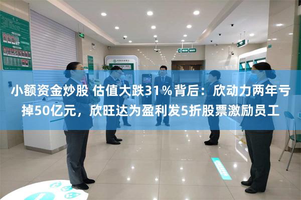 小额资金炒股 估值大跌31％背后：欣动力两年亏掉50亿元，欣旺达为盈利发5折股票激励员工