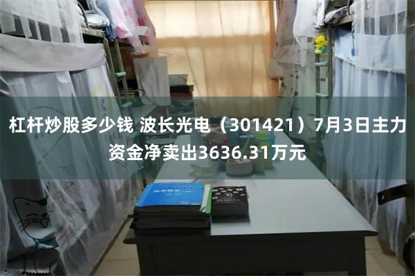 杠杆炒股多少钱 波长光电（301421）7月3日主力资金净卖出3636.31万元