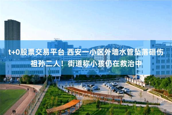 t+0股票交易平台 西安一小区外墙水管坠落砸伤祖孙二人！街道称小孩仍在救治中