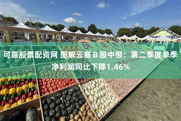 可靠股票配资网 图解云赛Ｂ股中报：第二季度单季净利润同比下降1.46%