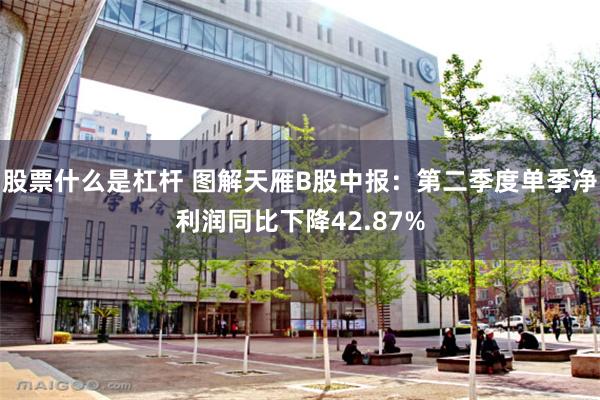 股票什么是杠杆 图解天雁B股中报:第二季度单季净利润同比下降42.87%