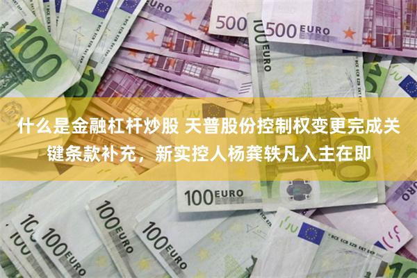 什么是金融杠杆炒股 天普股份控制权变更完成关键条款补充,新实控人杨龚轶凡入主在即