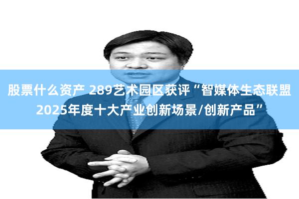 股票什么资产 289艺术园区获评“智媒体生态联盟2025年度十大产业创新场景/创新产品”