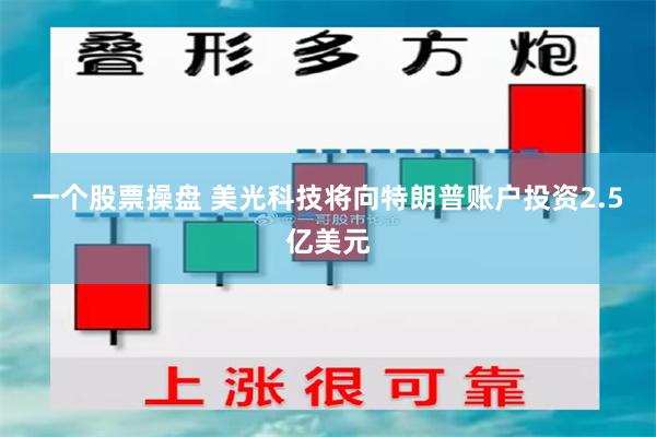 一个股票操盘 美光科技将向特朗普账户投资2.5亿美元