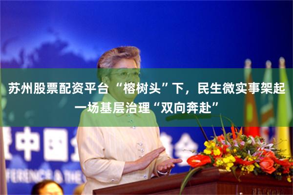 苏州股票配资平台 “榕树头”下，民生微实事架起一场基层治理“双向奔赴”