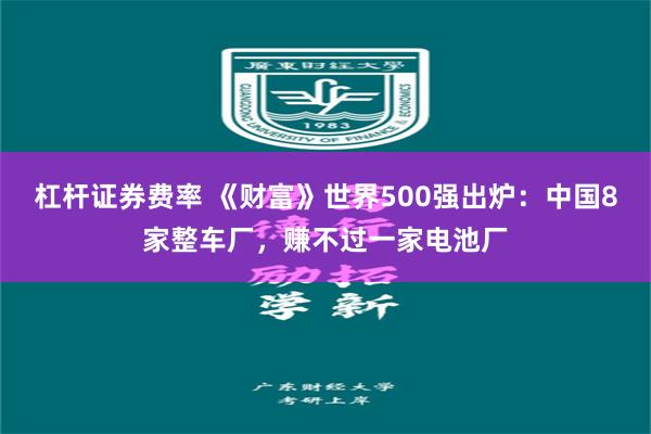 杠杆证券费率 《财富》世界500强出炉：中国8家整车厂，赚不过一家电池厂