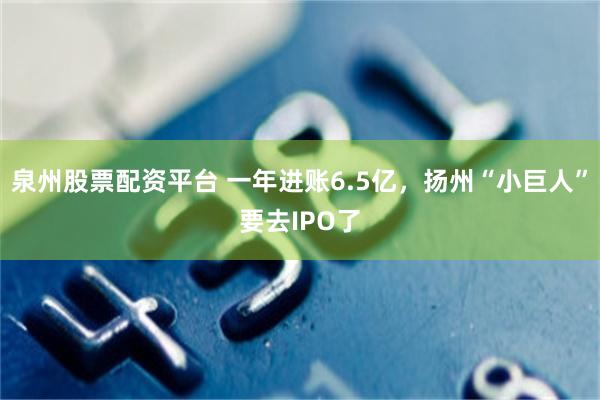 泉州股票配资平台 一年进账6.5亿，扬州“小巨人”要去IPO了