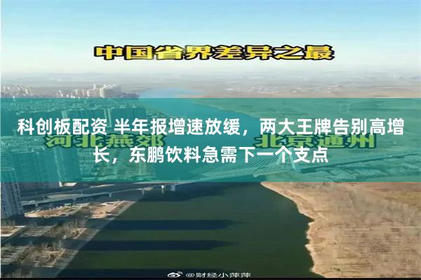 科创板配资 半年报增速放缓，两大王牌告别高增长，东鹏饮料急需下一个支点