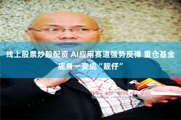线上股票炒股配资 AI应用赛道强势反弹 重仓基金摇身一变成“靓仔”