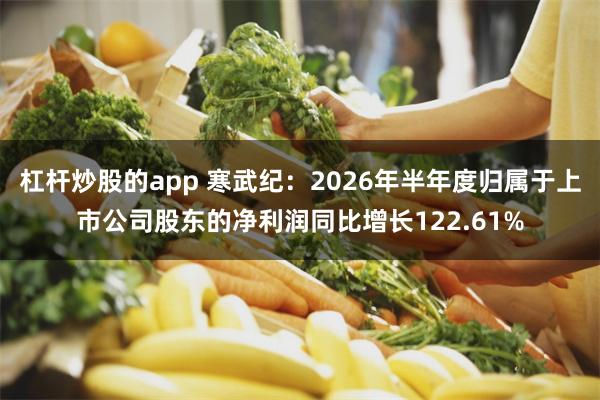 杠杆炒股的app 寒武纪：2026年半年度归属于上市公司股东的净利润同比增长122.61%