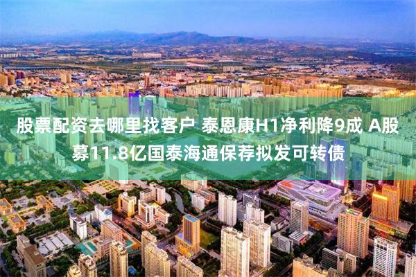 股票配资去哪里找客户 泰恩康H1净利降9成 A股募11.8亿国泰海通保荐拟发可转债