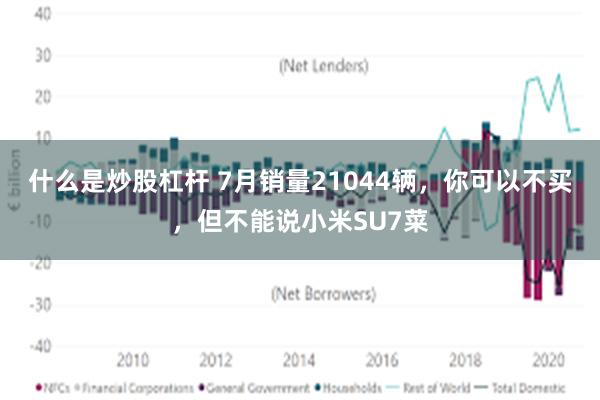 什么是炒股杠杆 7月销量21044辆，你可以不买，但不能说小米SU7菜