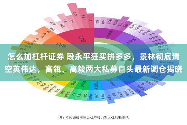 怎么加杠杆证券 段永平狂买拼多多，景林彻底清空英伟达，高瓴、高毅两大私募巨头最新调仓揭晓