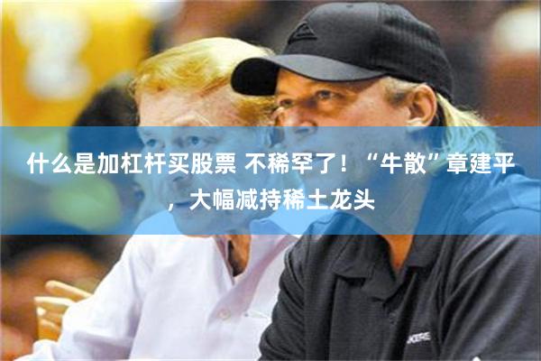 什么是加杠杆买股票 不稀罕了！“牛散”章建平，大幅减持稀土龙头