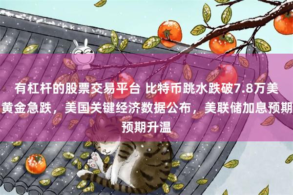 有杠杆的股票交易平台 比特币跳水跌破7.8万美元，黄金急跌，美国关键经济数据公布，美联储加息预期升温