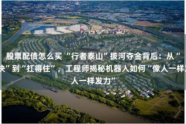股票配债怎么买 “行者泰山”拔河夺金背后：从“跑得快”到“扛得住”，工程师揭秘机器人如何“像人一样发力”