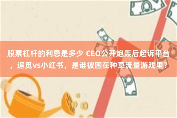 股票杠杆的利息是多少 CEO公开炮轰后起诉平台，追觅vs小红书，是谁被困在种草流量游戏里？