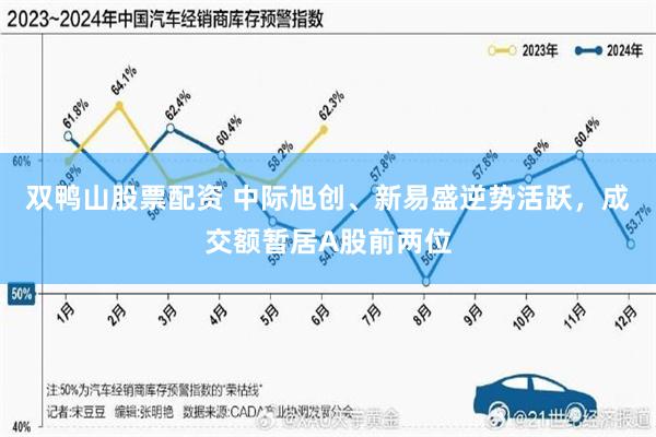 双鸭山股票配资 中际旭创、新易盛逆势活跃，成交额暂居A股前两位