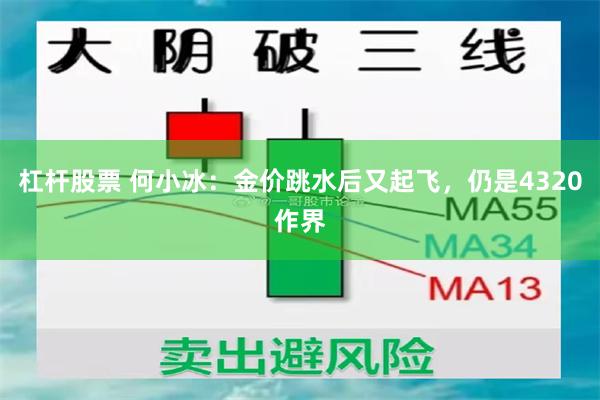 杠杆股票 何小冰：金价跳水后又起飞，仍是4320作界